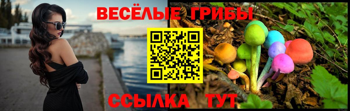 Геленджик  купить  сайты  Вход с VPN  Псилоцибиновые грибы Psilocybine cubensis 